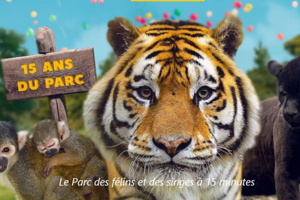 Cocon A La Campagne - Disney 20 Min - Paris 40 Min - 2 Terrasses Dammartin-sur-Tigeaux Екстериор снимка
